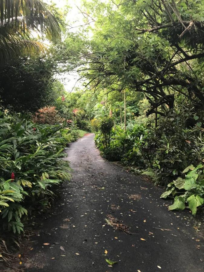 Willa Tropical Garden Self Catering Victoria Zewnętrze zdjęcie