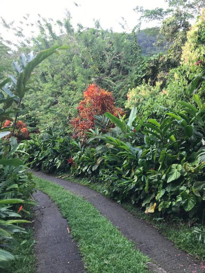 Willa Tropical Garden Self Catering Victoria Zewnętrze zdjęcie