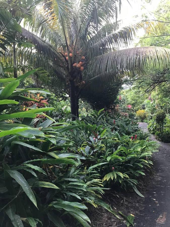 Willa Tropical Garden Self Catering Victoria Zewnętrze zdjęcie